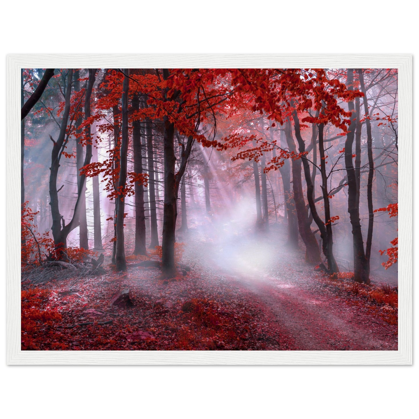 Mystical red forest