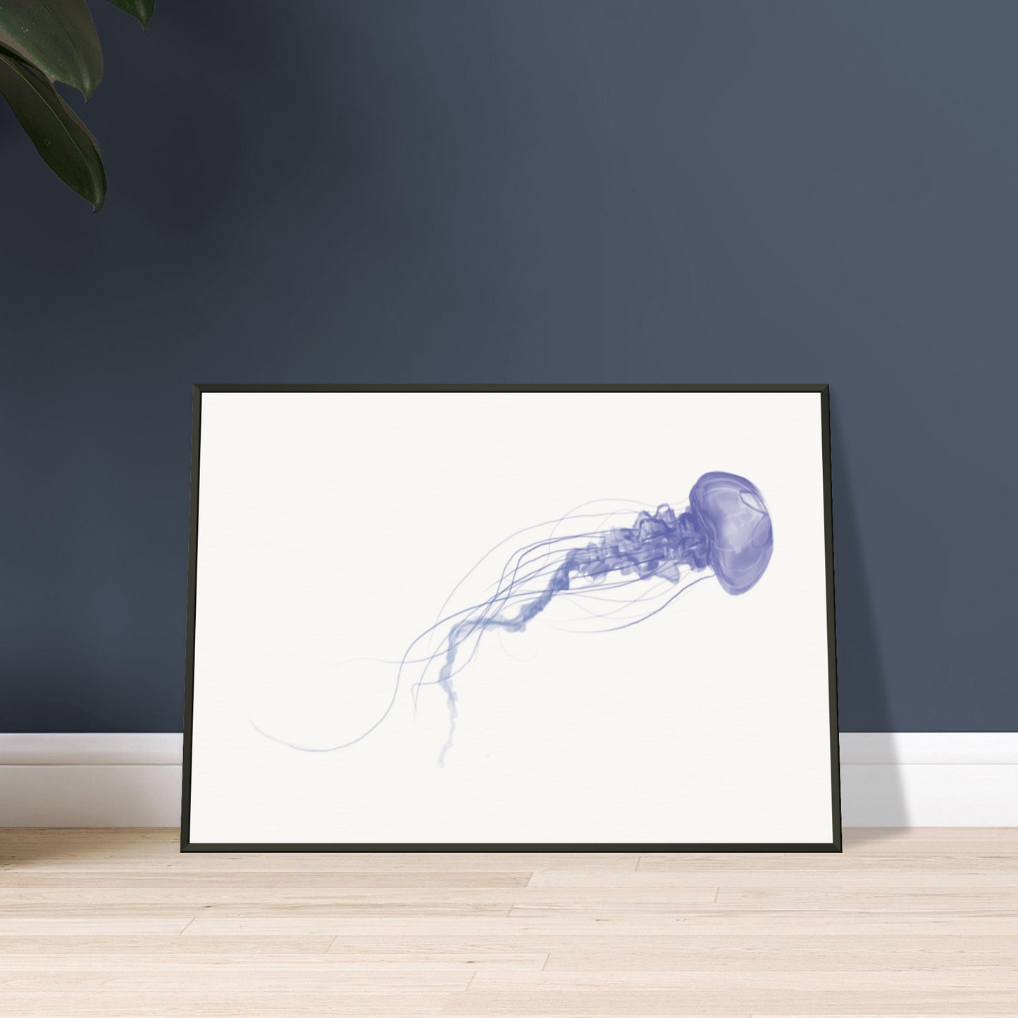 Jellyfish