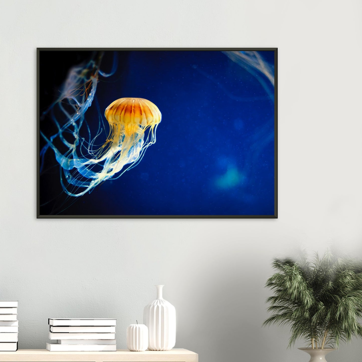 Japanese sea nettle