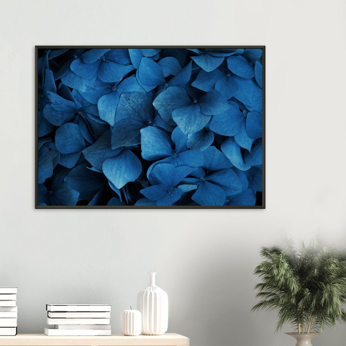 Blue hydrangeas