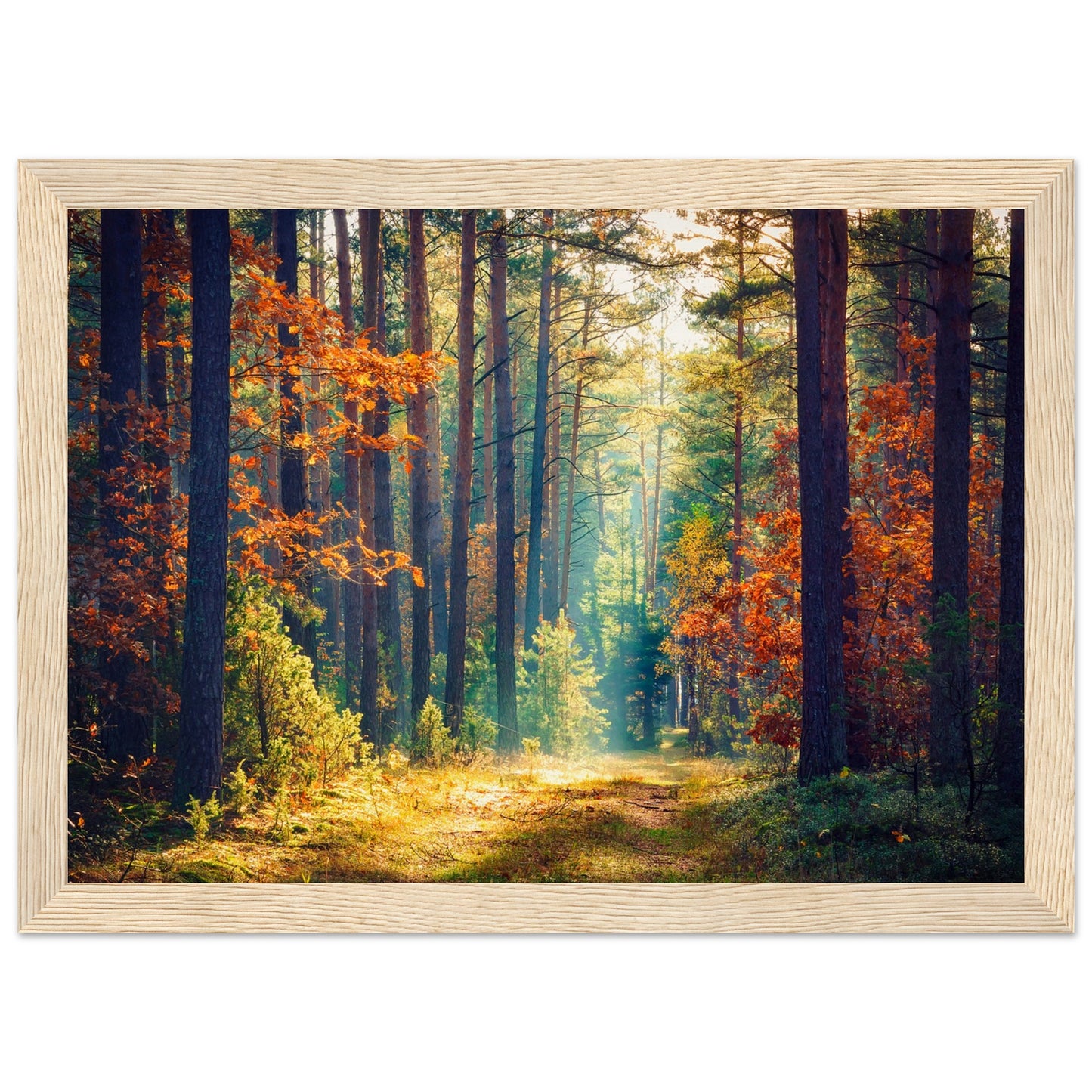 Autumn Forrest