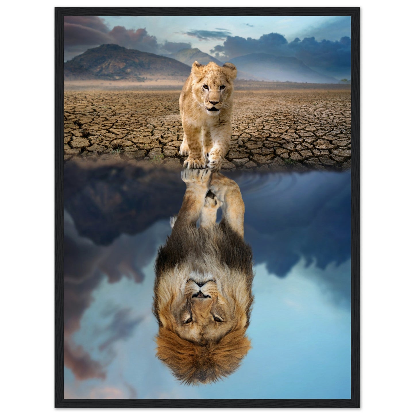 Lion Cub Reflection