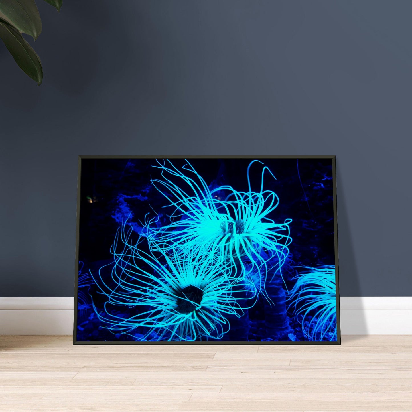 Coral reef bioluminescent plant