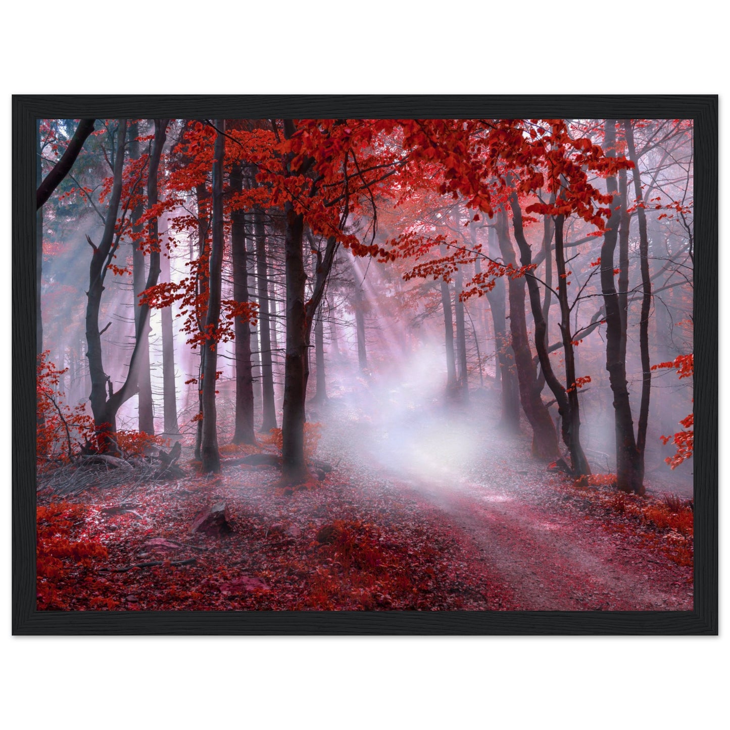 Mystical red forest