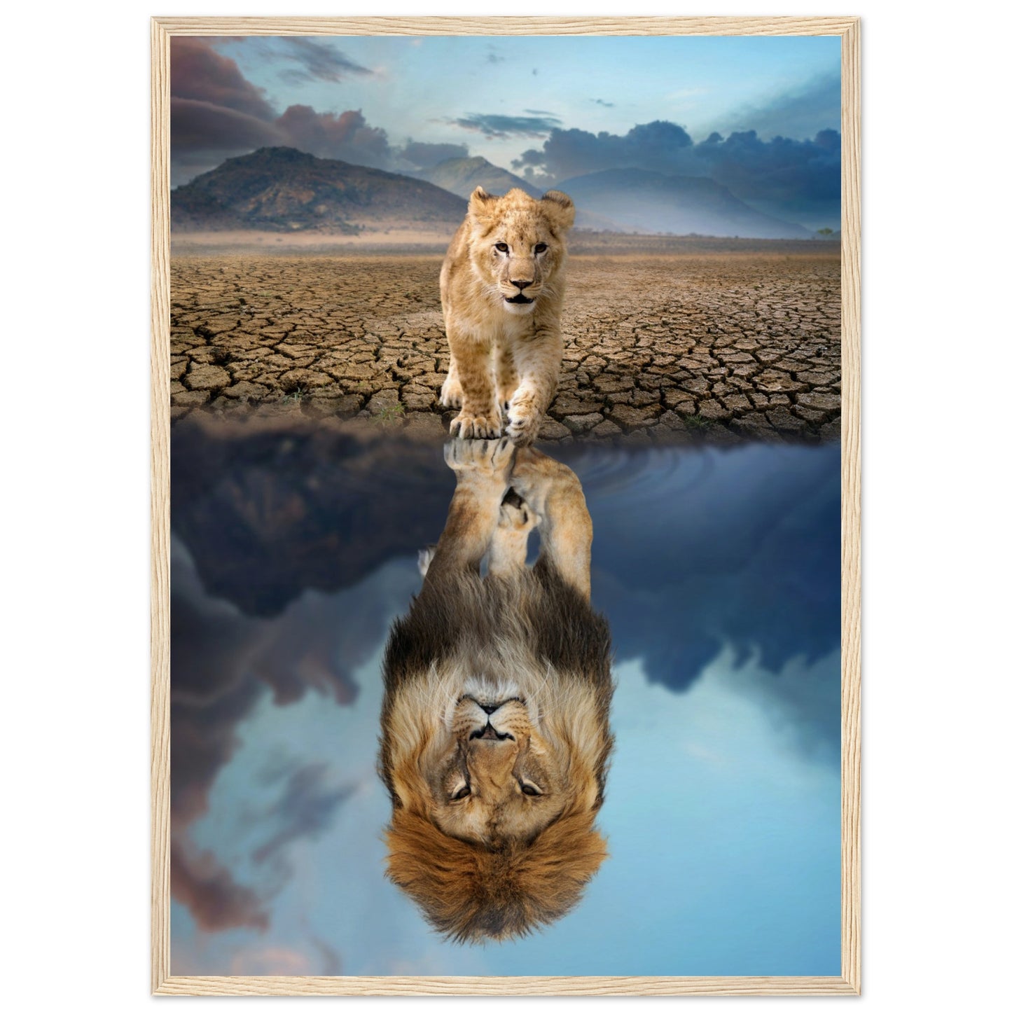 Lion Cub Reflection