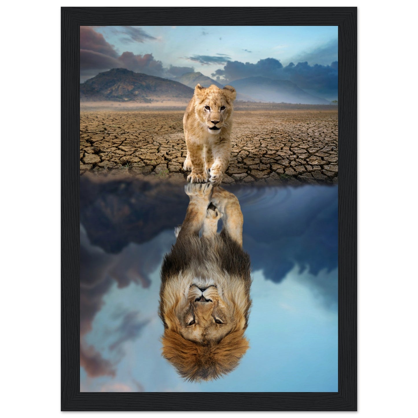 Lion Cub Reflection