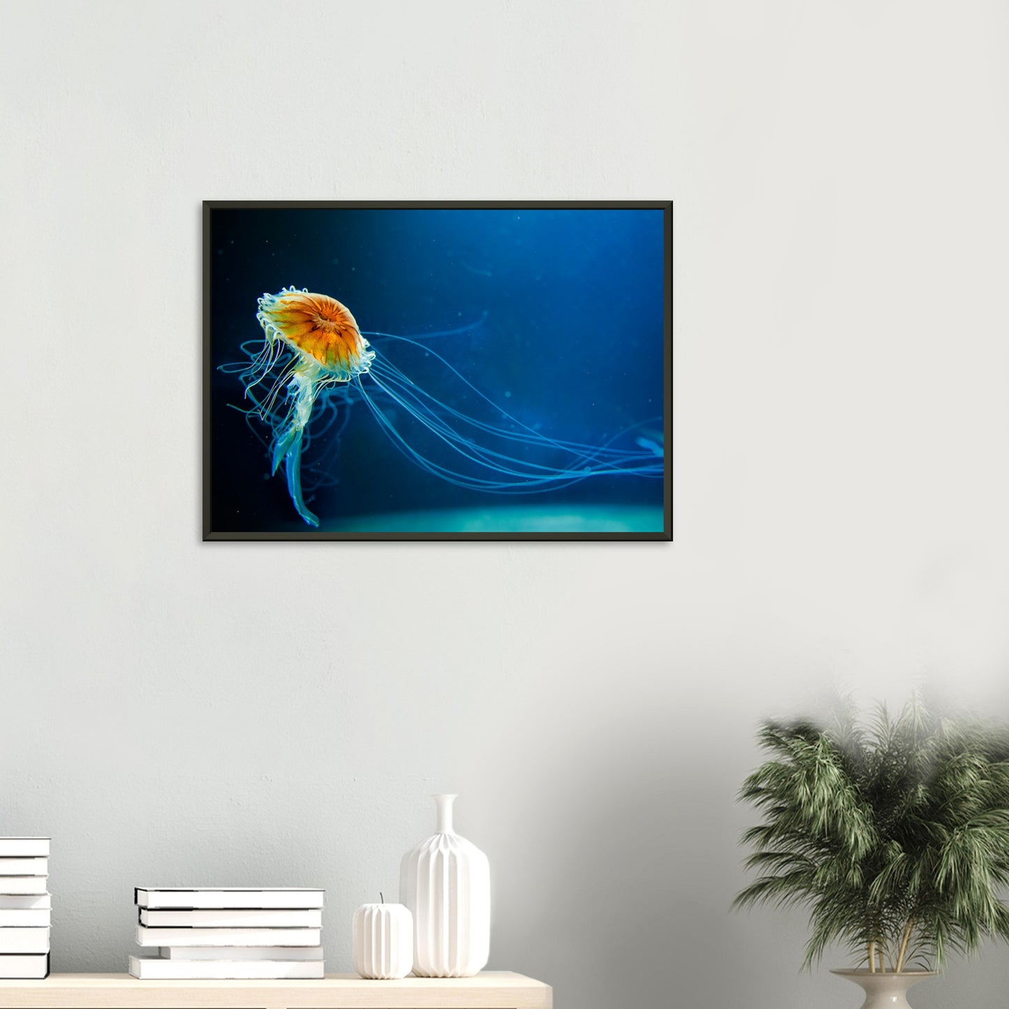 Japanese sea nettle