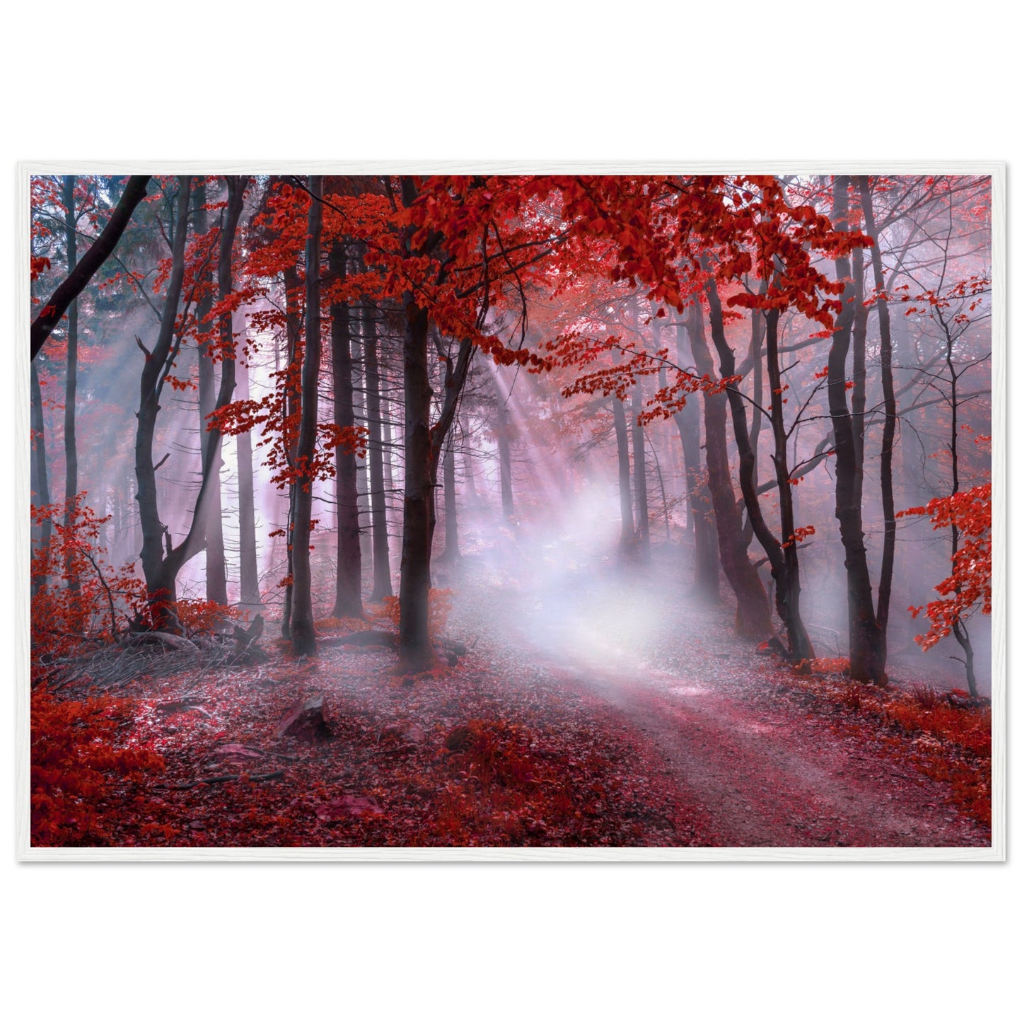 Mystical red forest