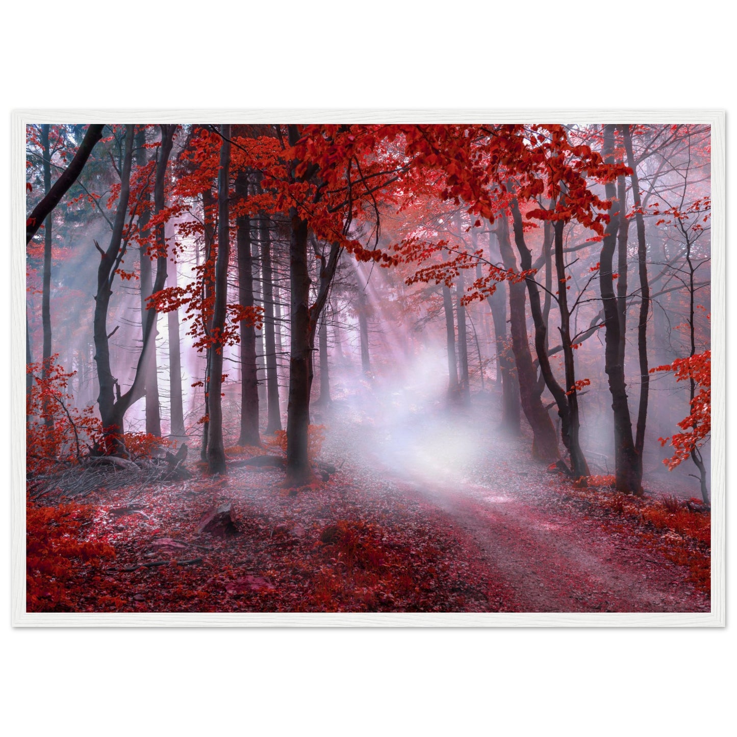 Mystical red forest