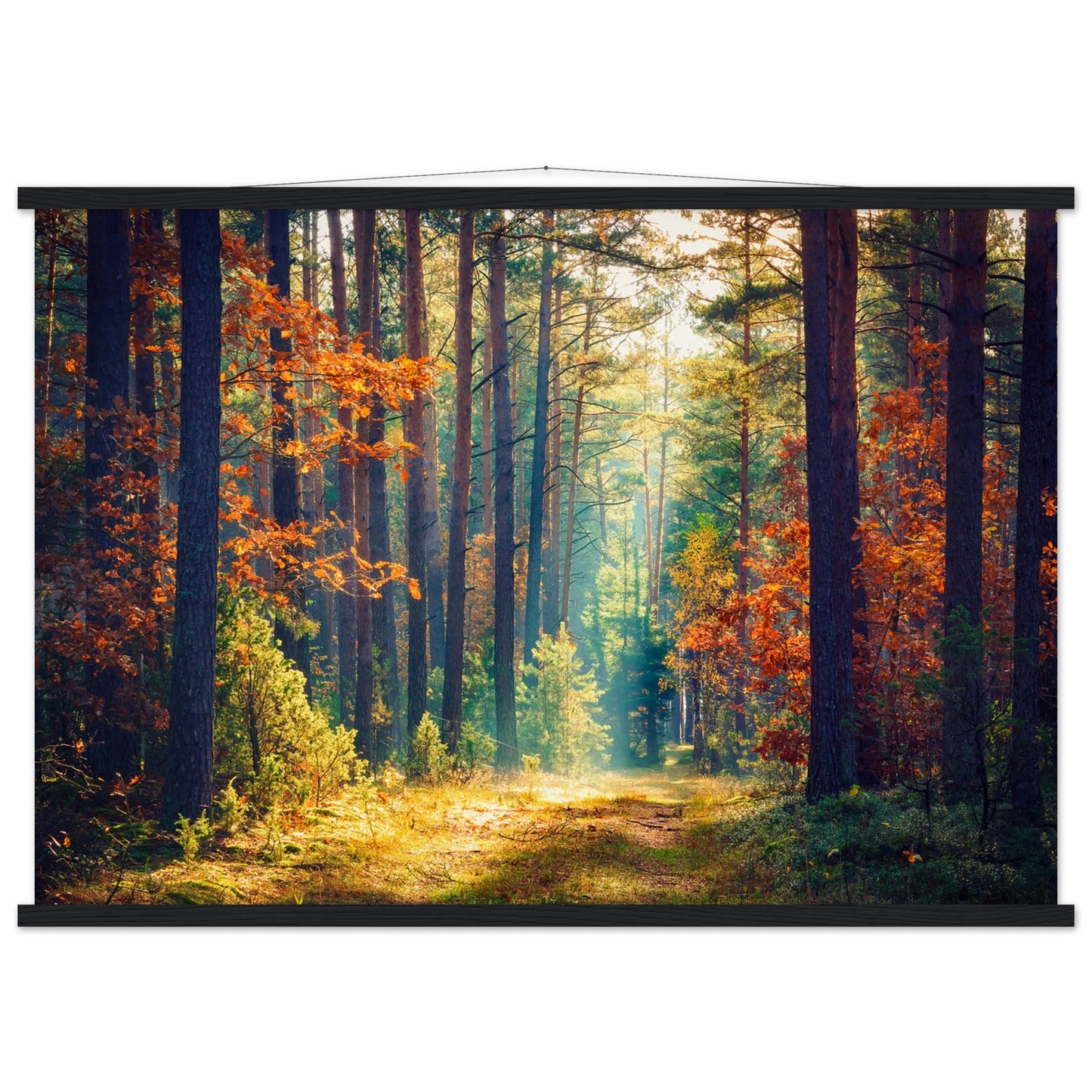 Autumn Forrest