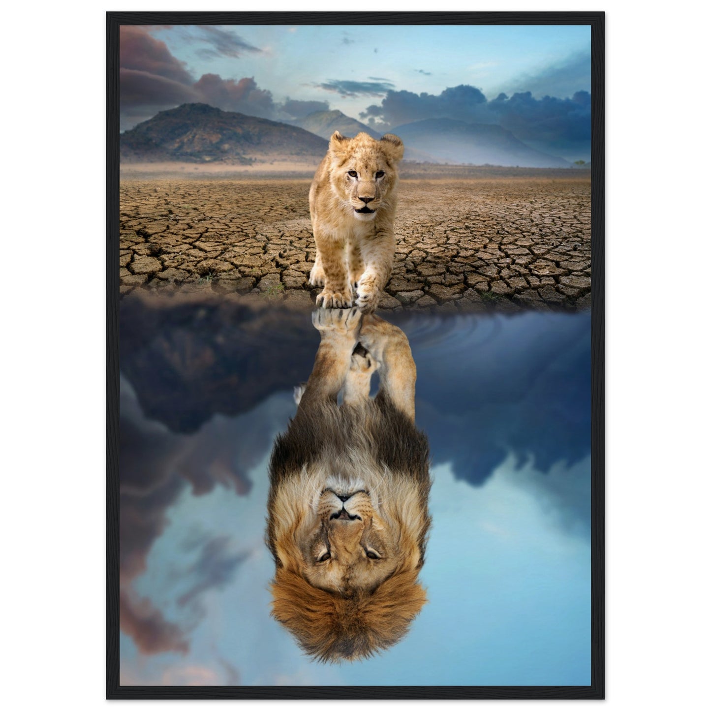 Lion Cub Reflection