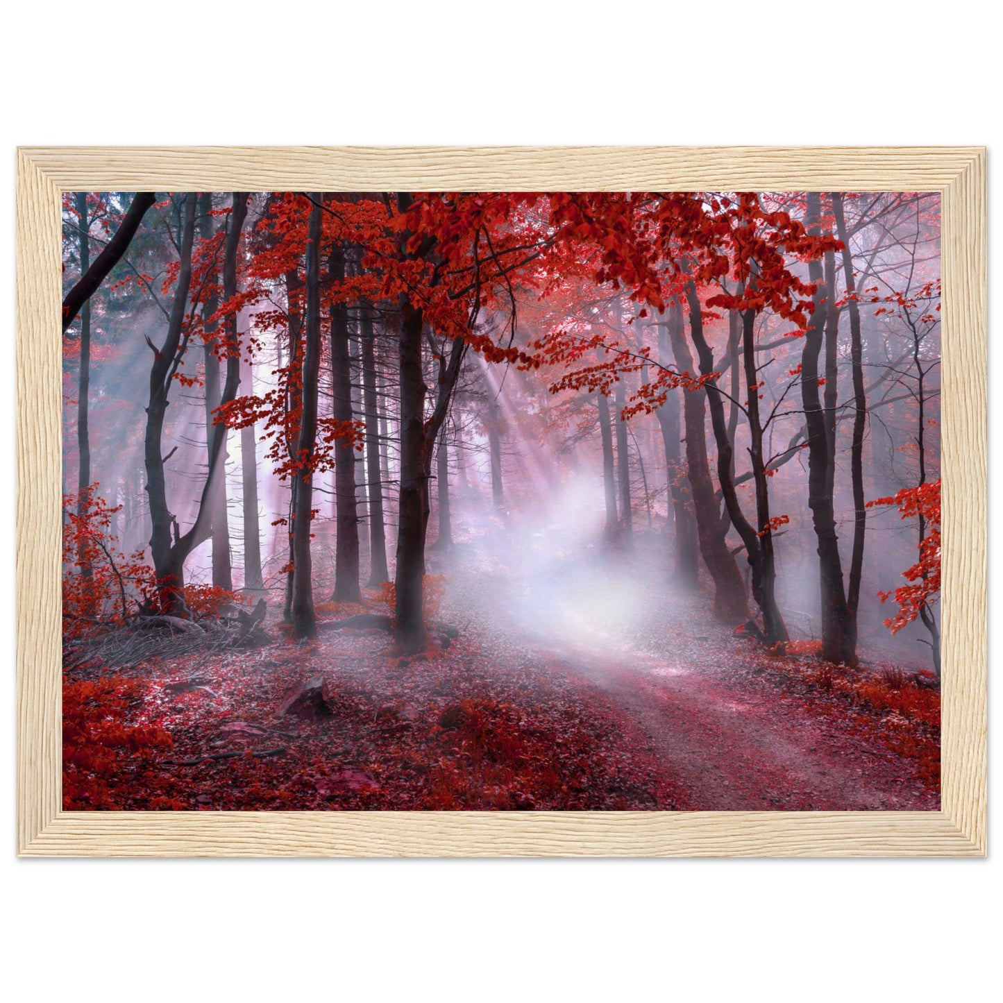 Mystical red forest