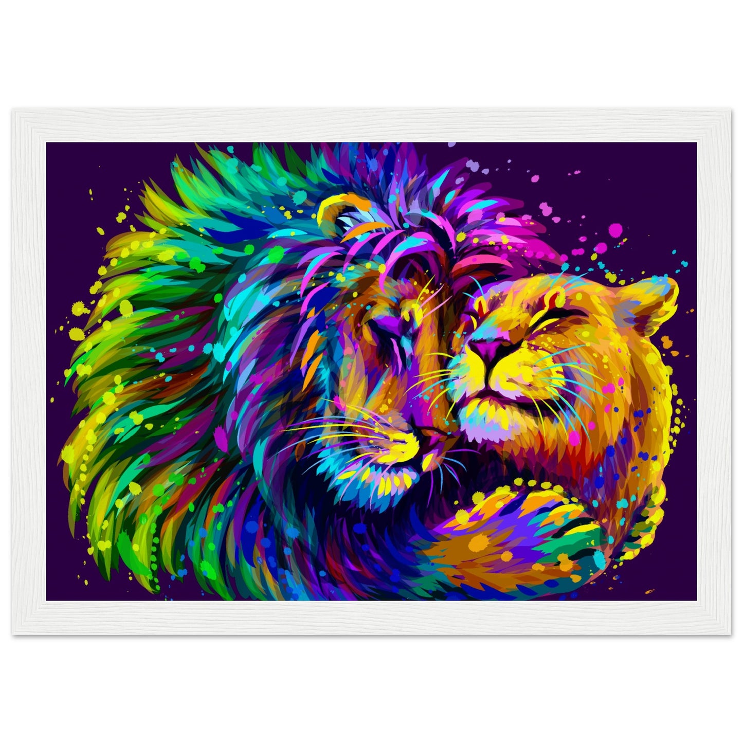 Lion embraces a lioness