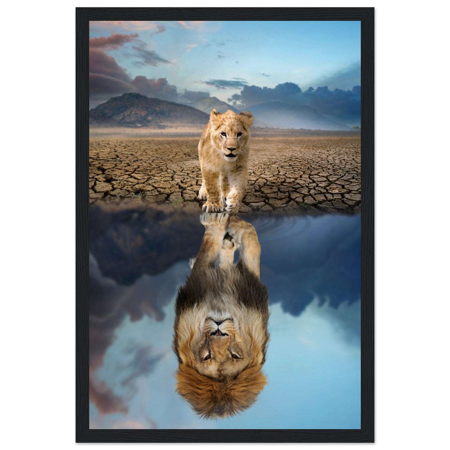 Lion Cub Reflection