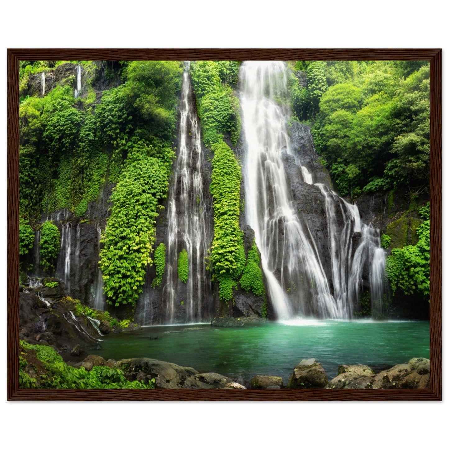 Jungle Waterfall