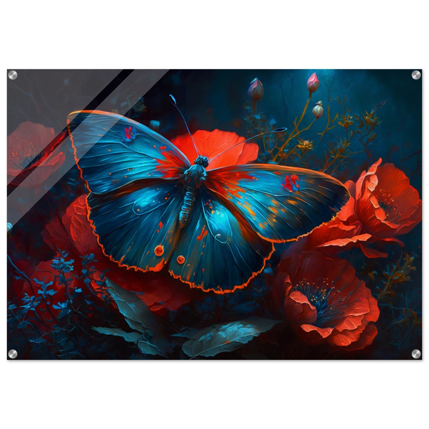 Blue morpho butterfly