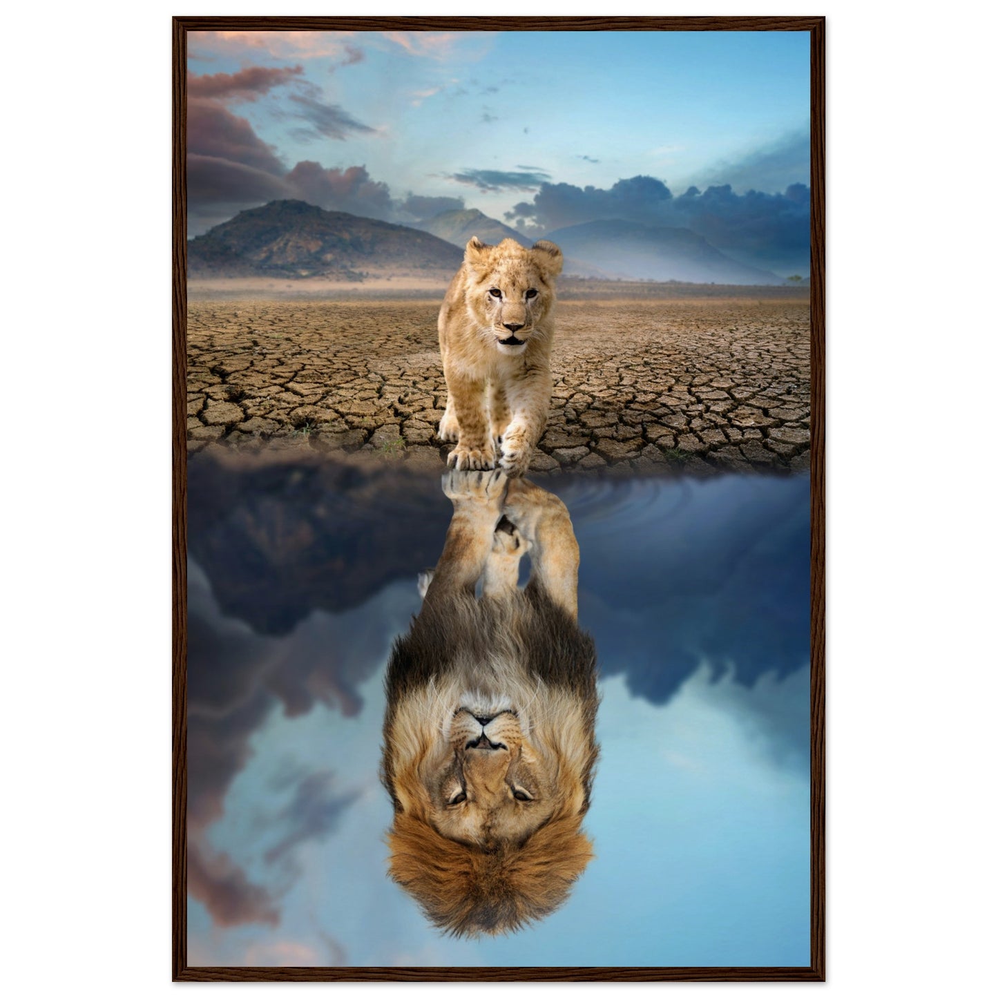 Lion Cub Reflection