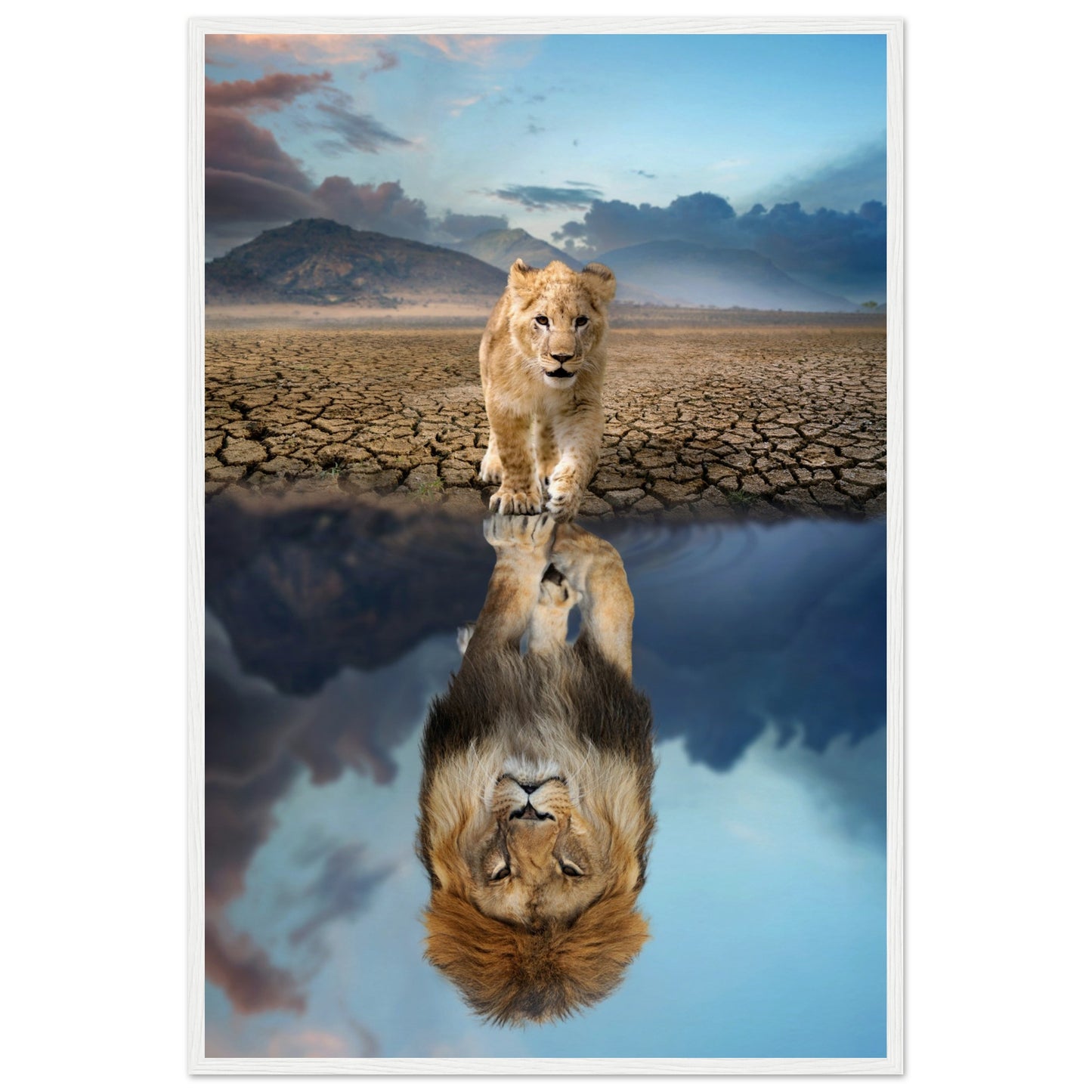 Lion Cub Reflection