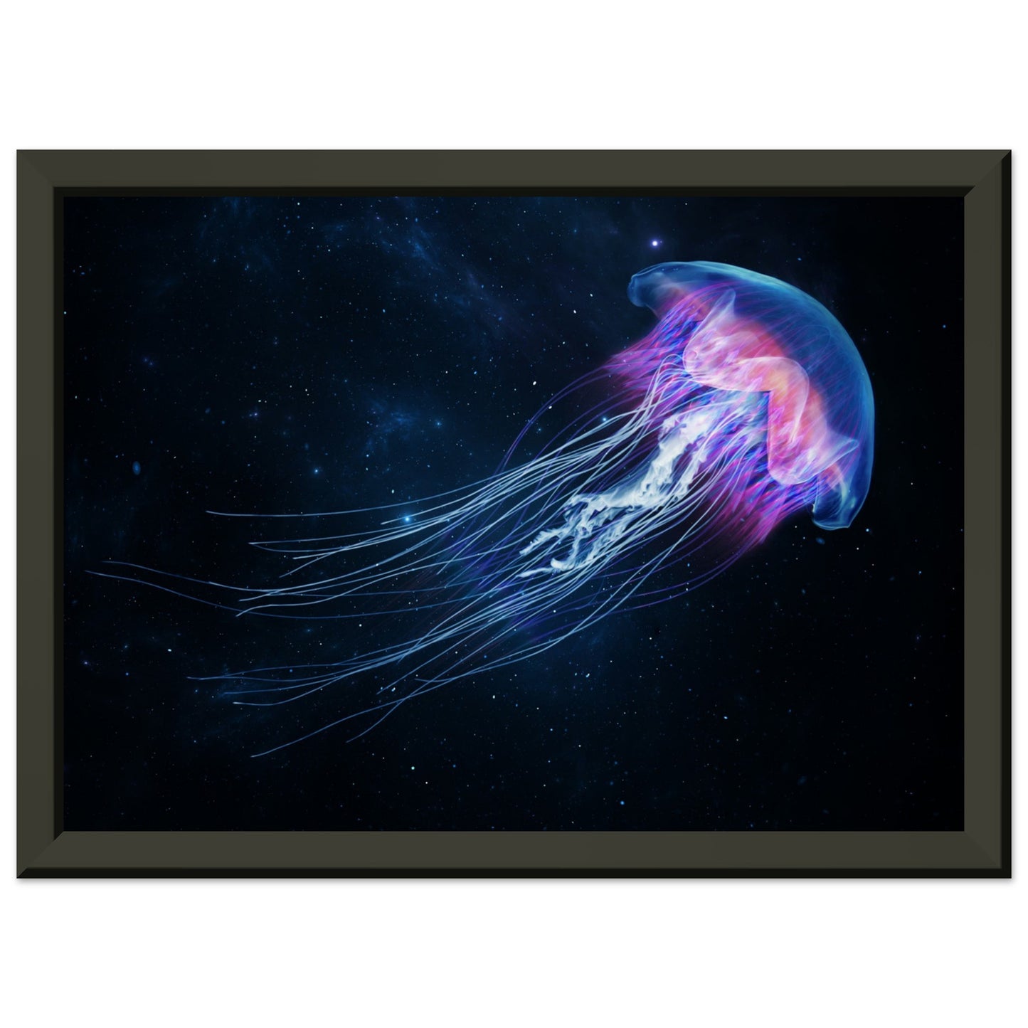 Dovecove Jellyfish