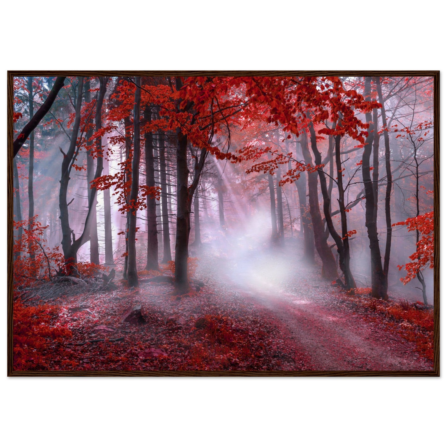 Mystical red forest