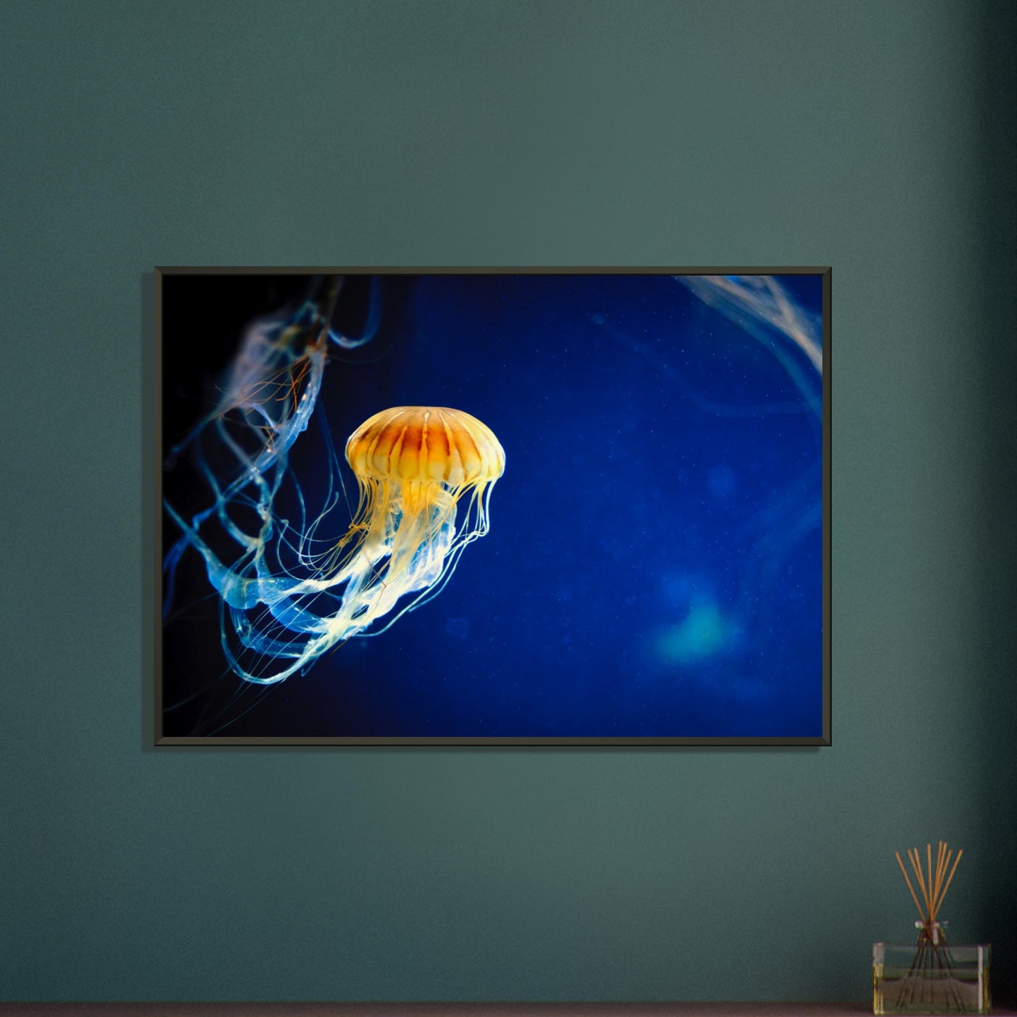 Japanese sea nettle