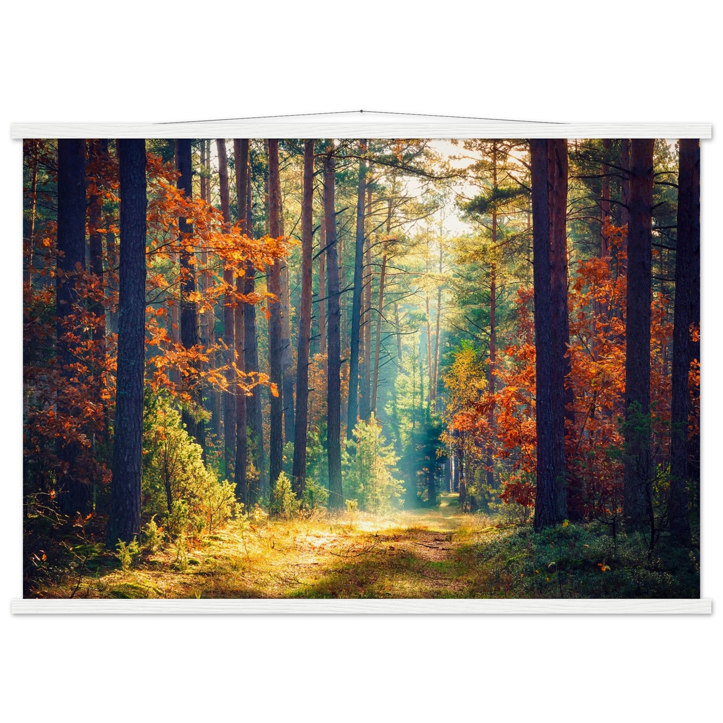 Autumn Forrest