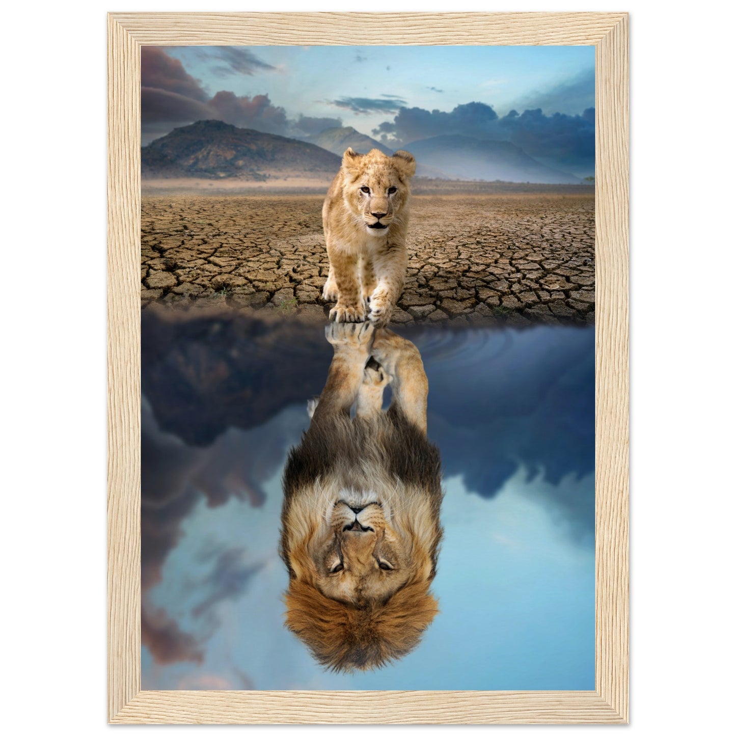 Lion Cub Reflection