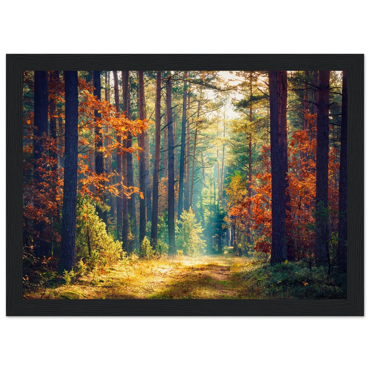 Autumn Forrest