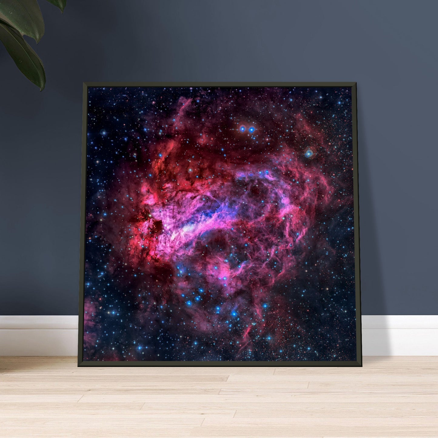 The Omega Nebula
