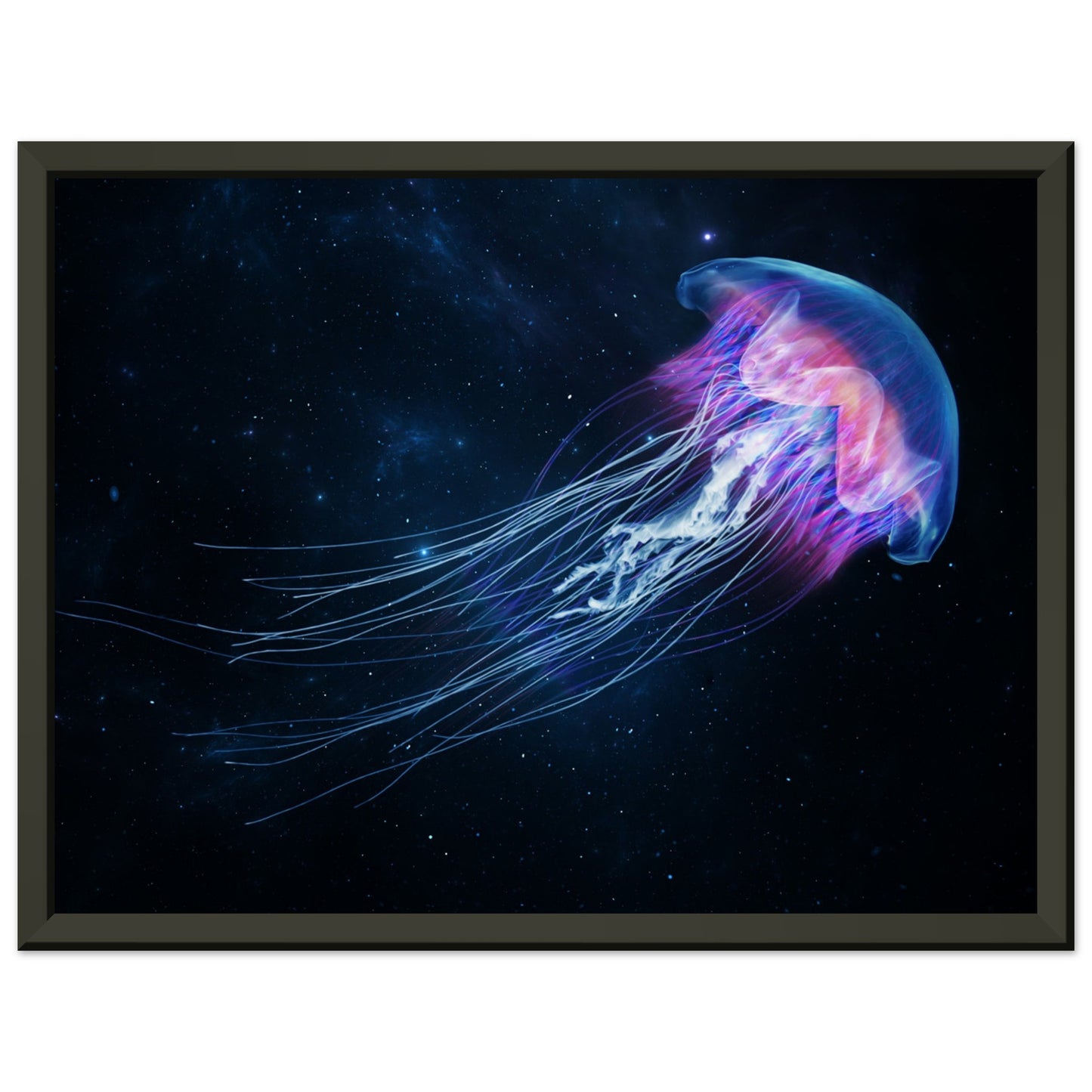 Dovecove Jellyfish