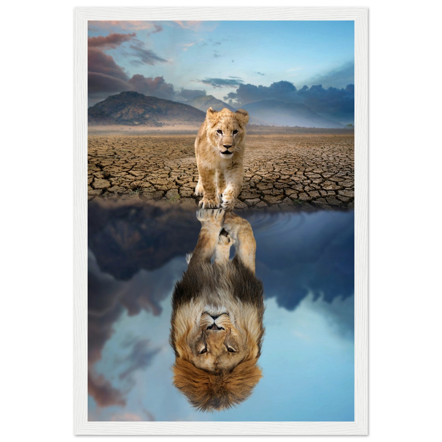 Lion Cub Reflection