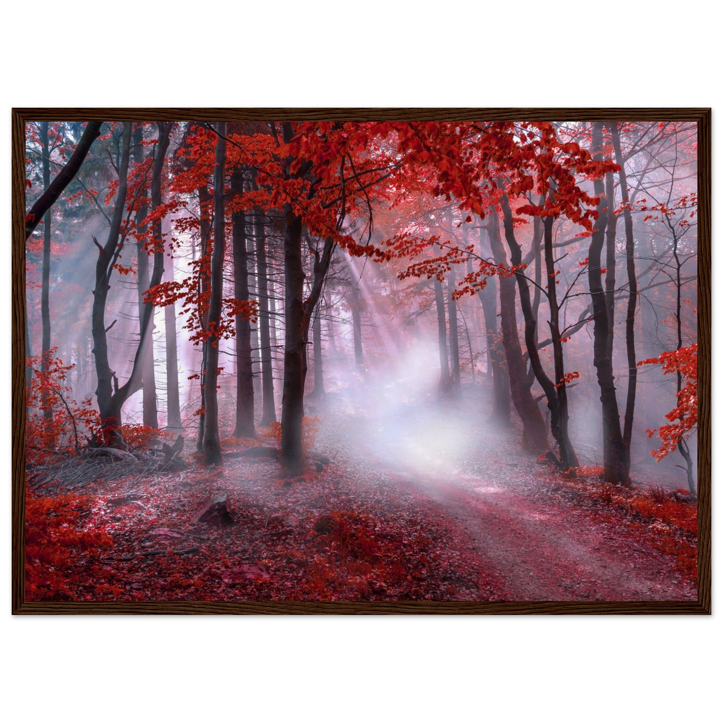 Mystical red forest