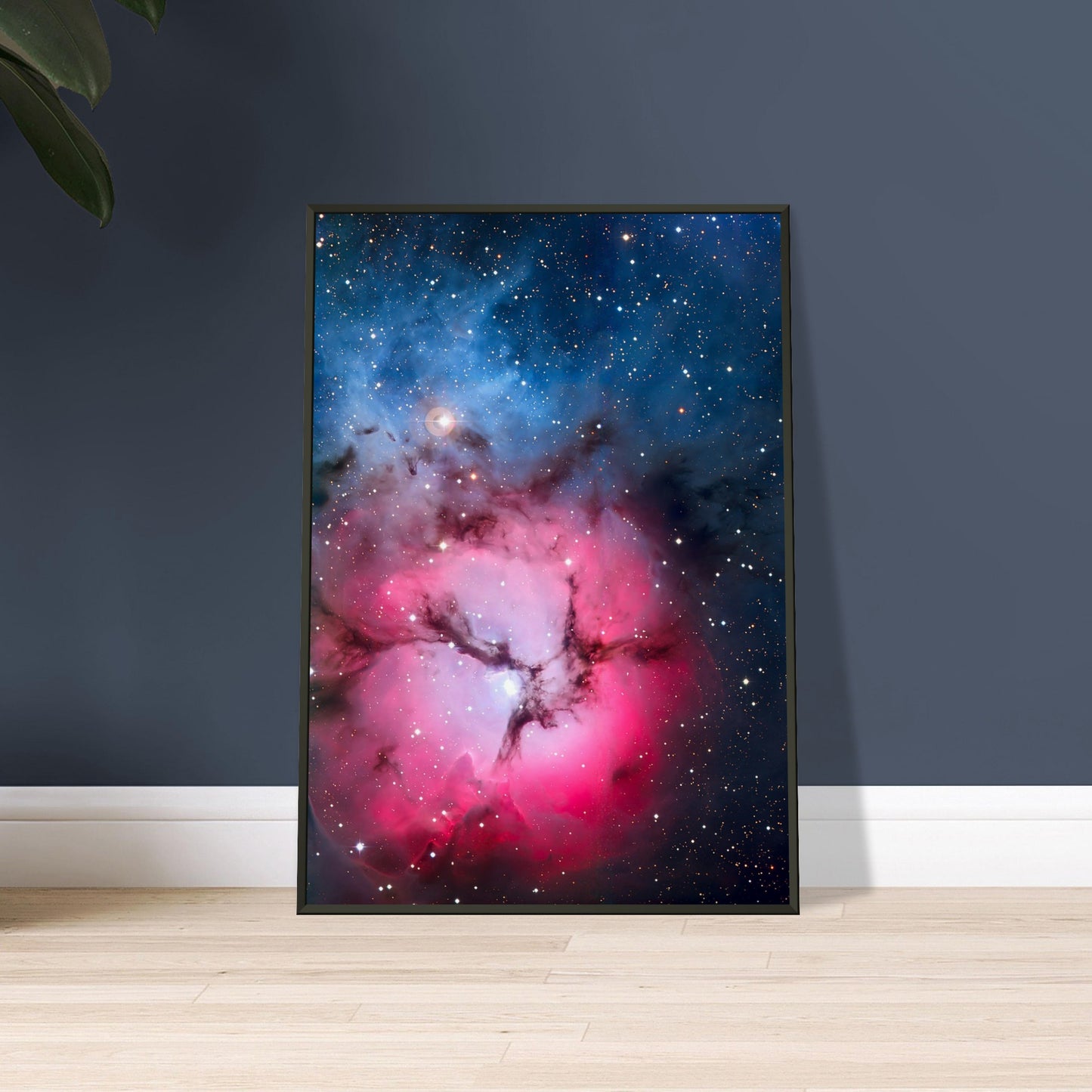 The Trifid Nebula