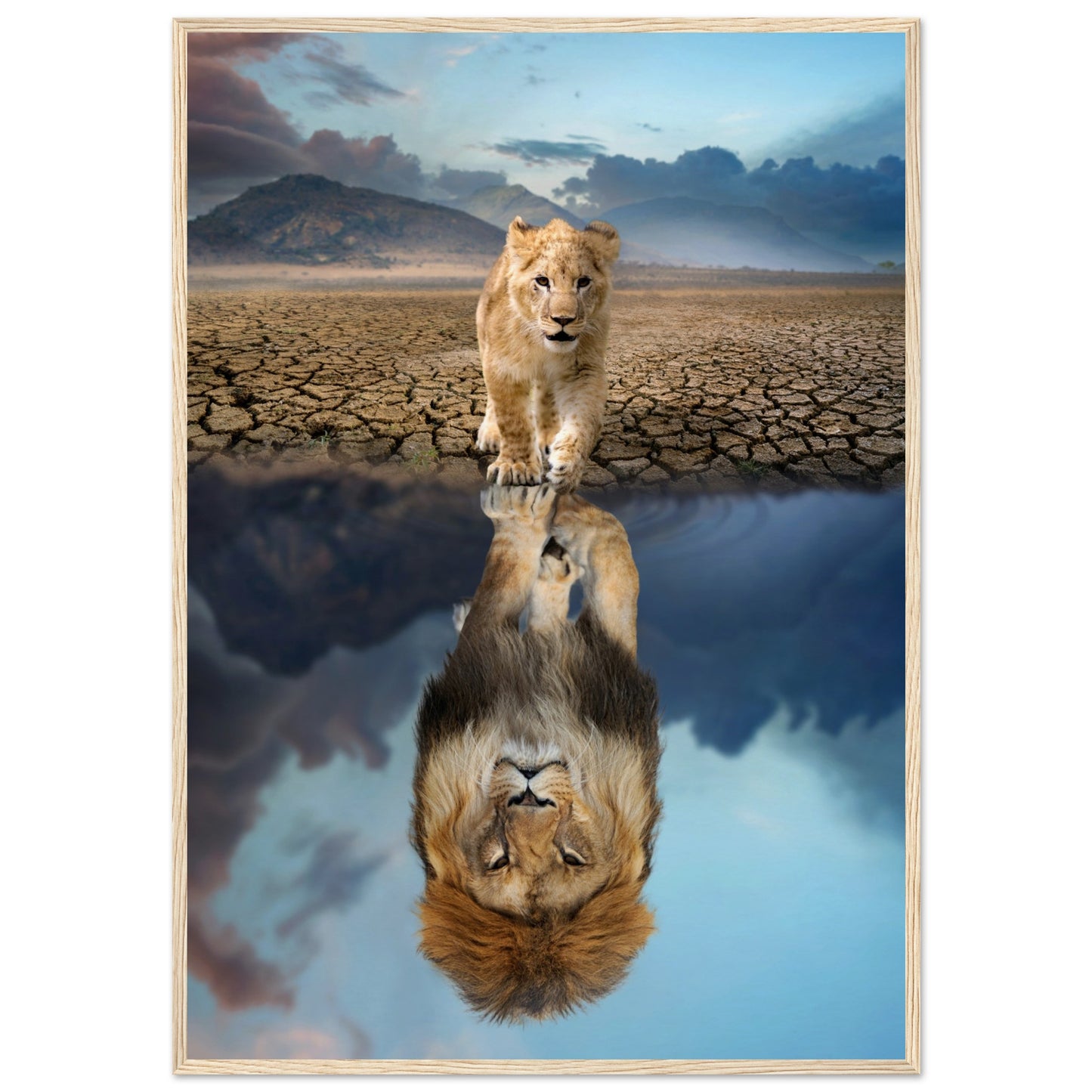 Lion Cub Reflection