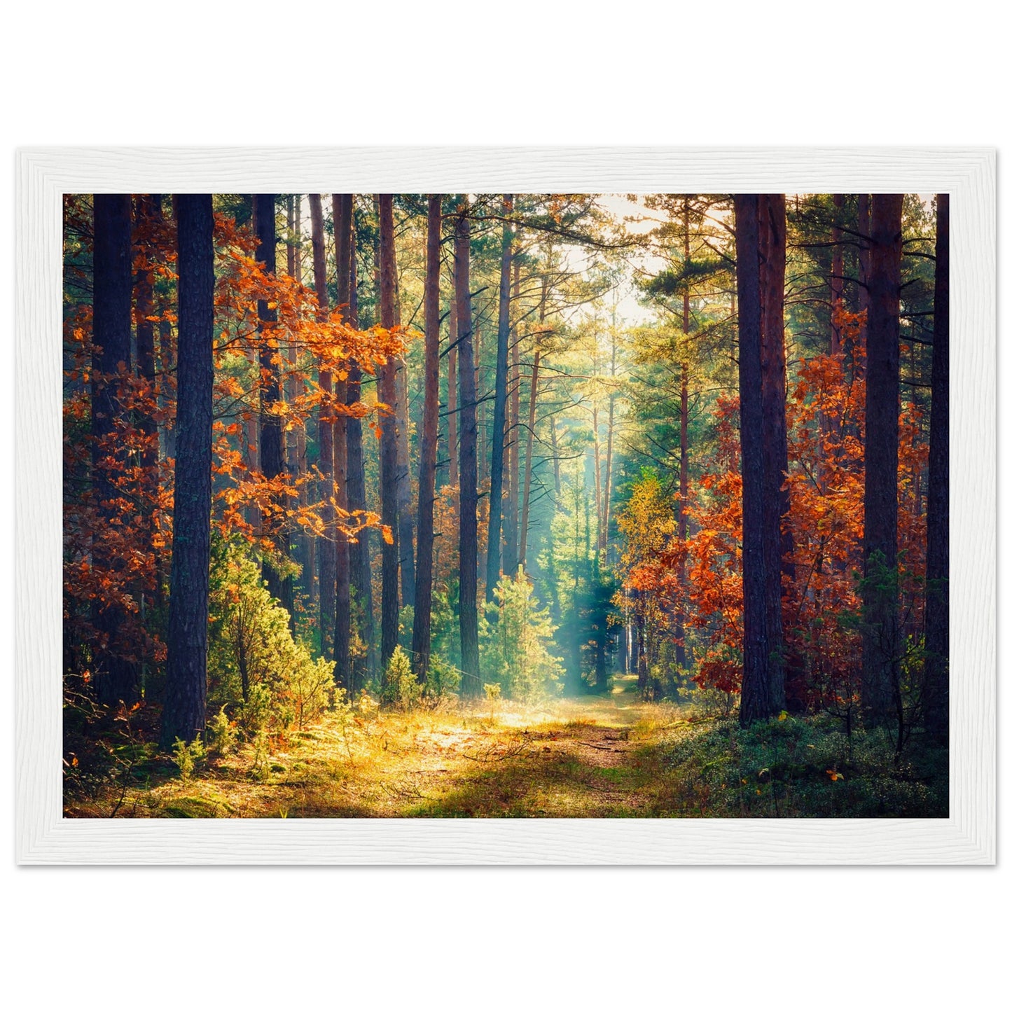 Autumn Forrest