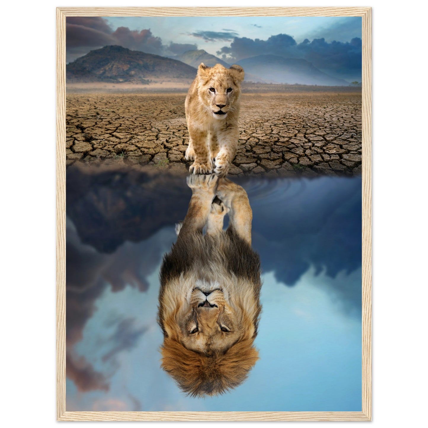 Lion Cub Reflection