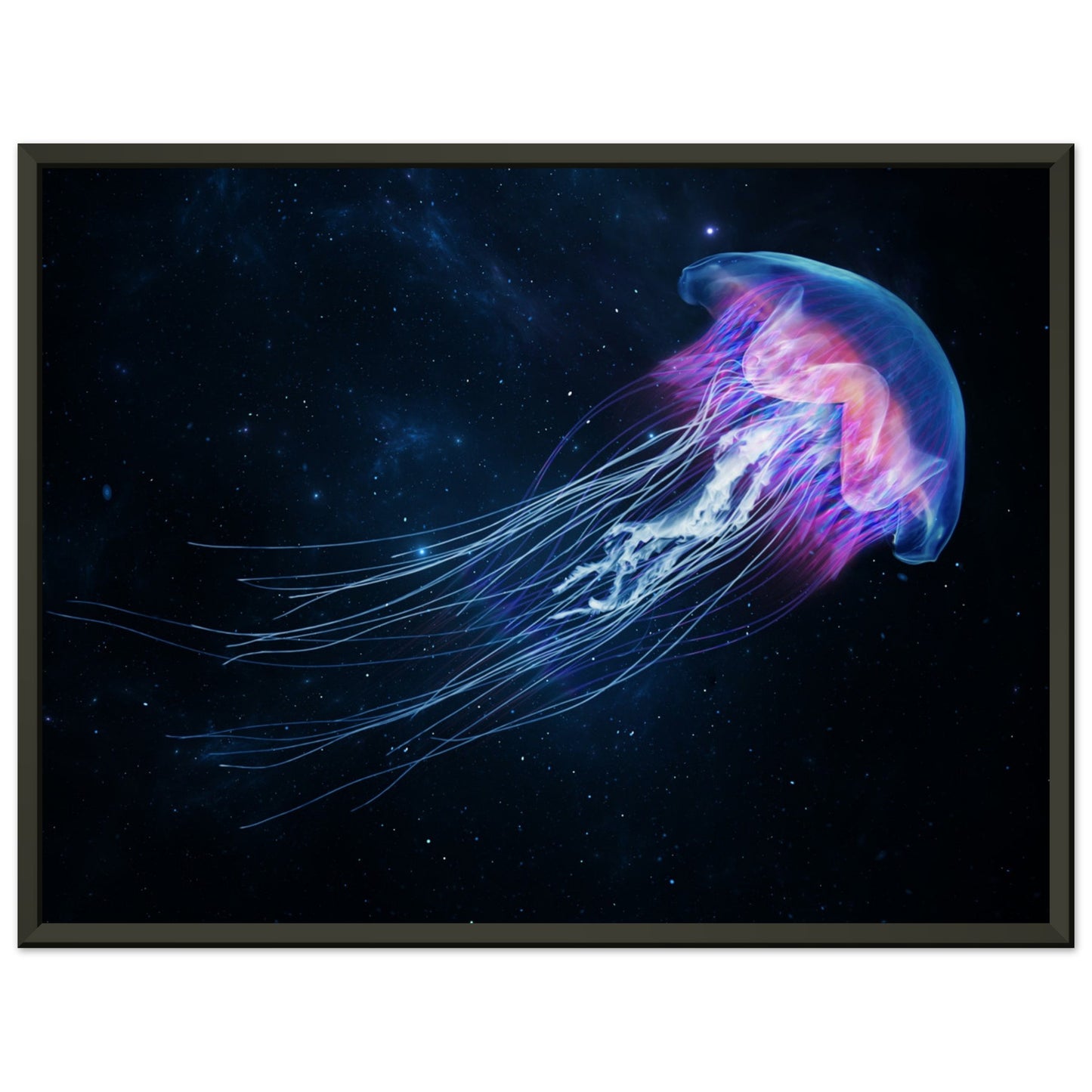 Dovecove Jellyfish