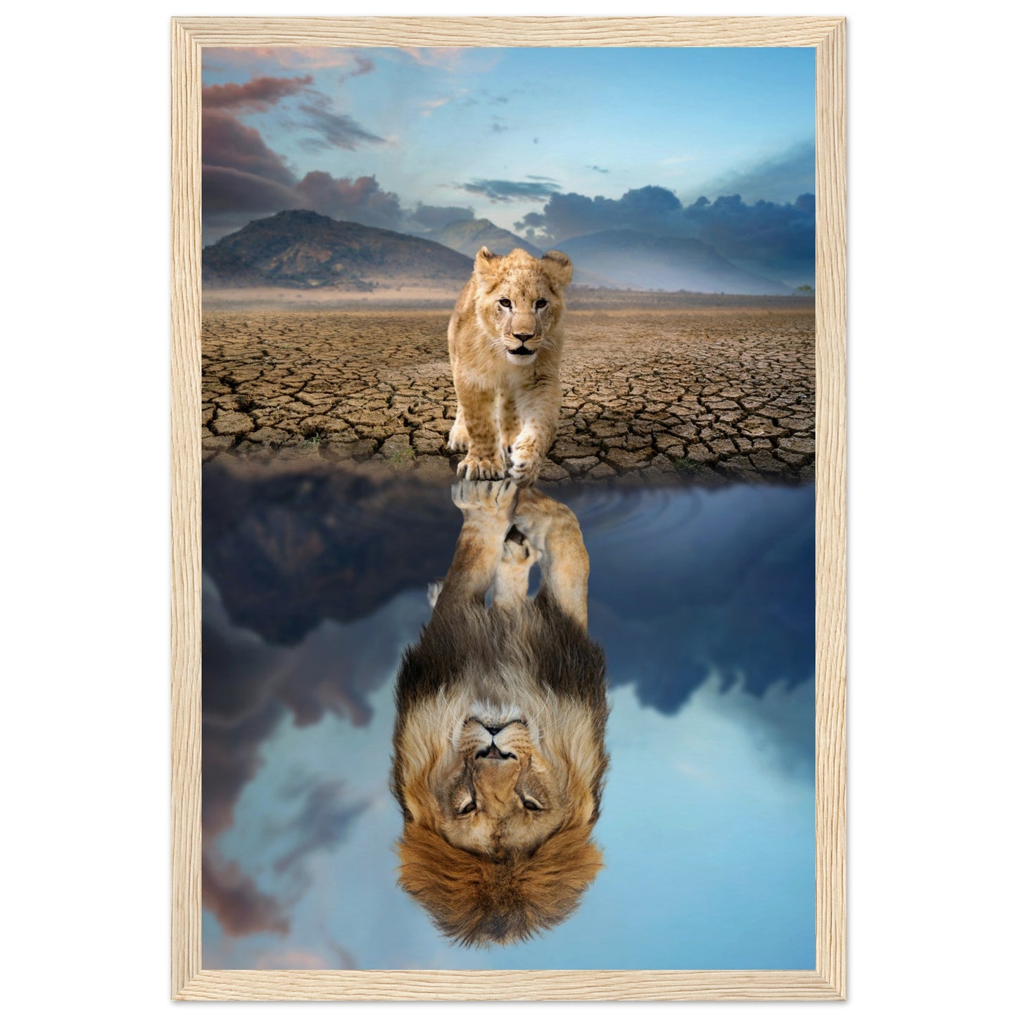 Lion Cub Reflection