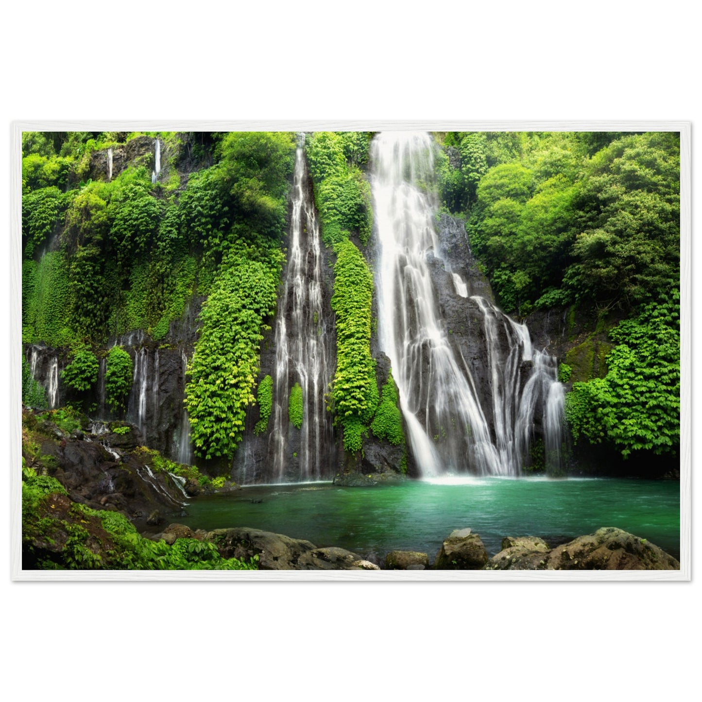 Jungle Waterfall