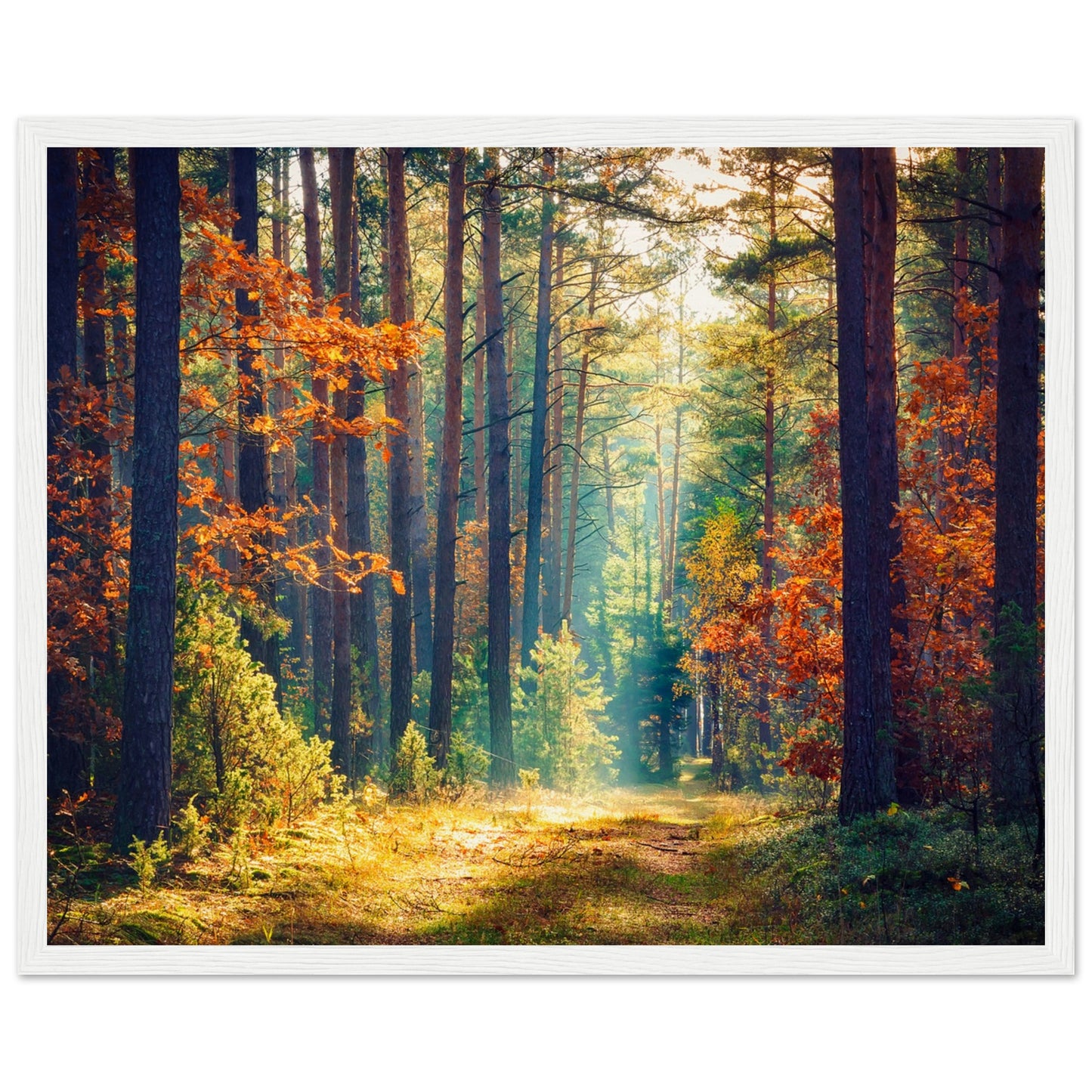 Autumn Forrest